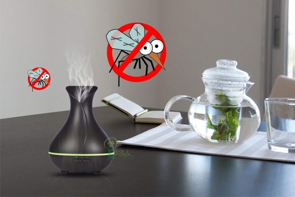 Tinh dầu bạc hà giúp đuổi chuột, gián, mối, muỗi trong nhà